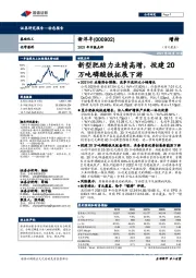 2021年中报点评:新型肥助力业绩高增,投建20万吨磷酸铁拓展下游
