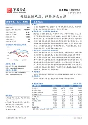 短期业绩承压，静待拐点出现