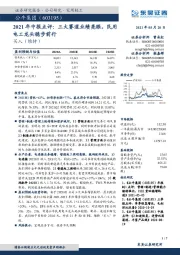 2021年中报点评：三大赛道业绩亮眼，民用电工龙头稳步前行