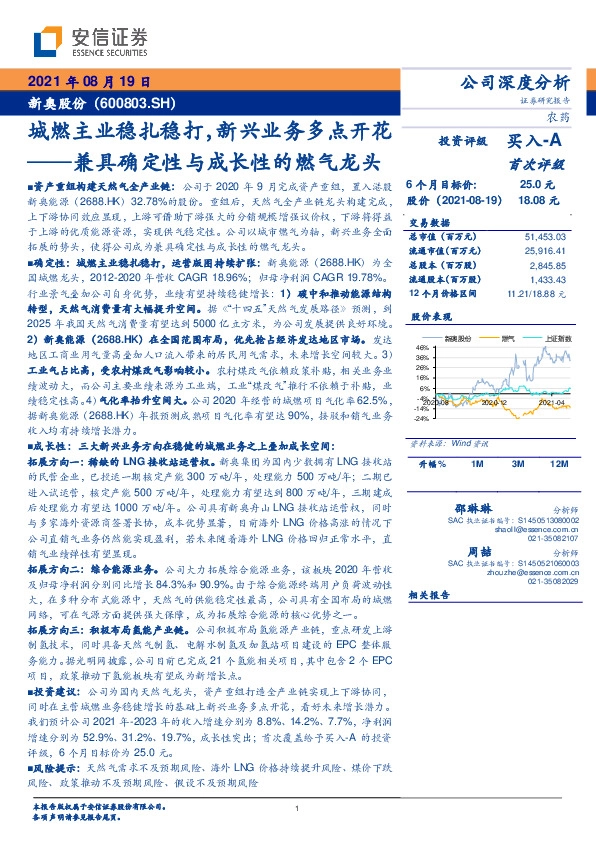 城燃主业稳扎稳打，新兴业务多点开花-兼具确定性与成长性的燃气龙头