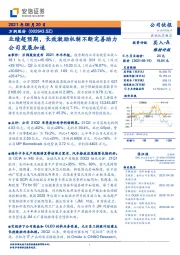 业绩超预期，长效激励机制不断完善助力公司发展加速