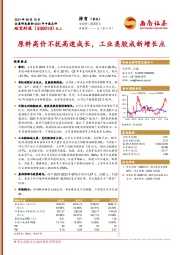 原料高价不扰高速成长，工业类胶成新增长点