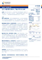 Q2业绩增长强劲 产能扩张正当时