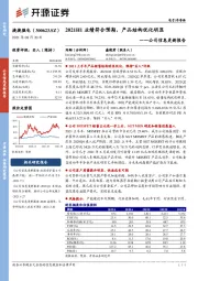 公司信息更新报告：2021H1业绩符合预期，产品结构优化明显