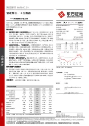 海优新材中报点评：营收增长，卡位赛道