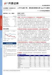 公司信息更新报告:上半年业绩下滑,持续推进跨境电商SaaS平台建设