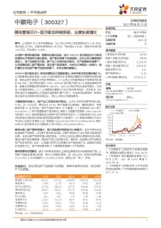 锂电管理芯片+显示驱动持续突破，业绩快速增长