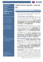 受益国产化国内收入稳定增长，毛利率大幅提升