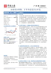 业绩符合预期，下半年有望多点开花