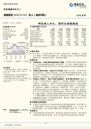 研发投入加大，国际化进程提速