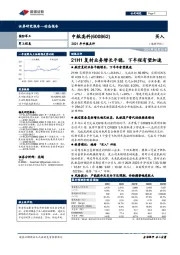 2021年中报点评：21H1复材业务增长平稳，下半程有望加速