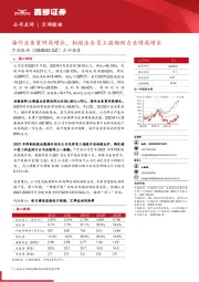 点评报告:海外业务重回高增长,相继出台员工激励助力业绩高增长
