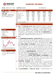 中报业绩符合预期，回购计划彰显信心