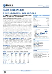 半年报点评:图形芯片业务跨越式增长,21Q2业绩再创新高