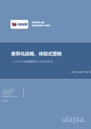 公司深度报告：差异化战略，地推式营销