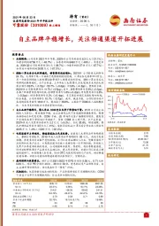 自主品牌平稳增长,关注特通渠道开拓进展