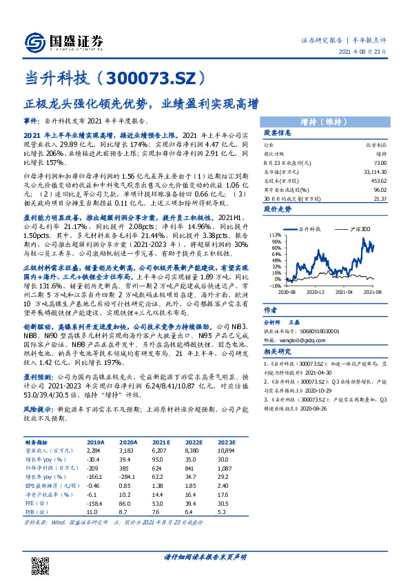 正极龙头强化领先优势，业绩盈利实现高增