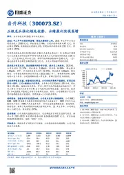 正极龙头强化领先优势，业绩盈利实现高增