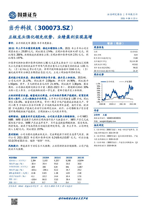 正极龙头强化领先优势，业绩盈利实现高增