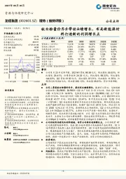 钛白粉量价齐升带动业绩增长，布局新能源材料打造新的利润增长点