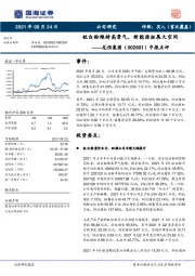 中报点评:钛白粉维持高景气,新能源拓展大空间
