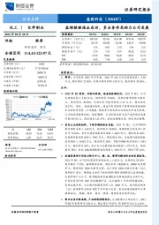 盐湖提锂造血成功，多业务布局助力公司发展