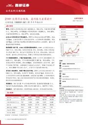 21年半年报点评：21H1业绩符合预期，盈利能力显著提升