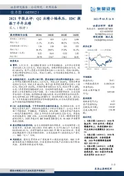 2021中报点评：Q2业绩小幅承压，IDC提振下半年业绩