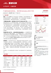 中报点评:产量释放推动增长,原料紧张造成毛利率下降