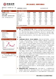 原料上涨业绩承压,新增项目保障成长