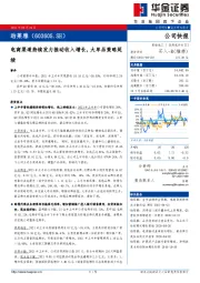 电商渠道持续发力推动收入增长，大单品策略延续