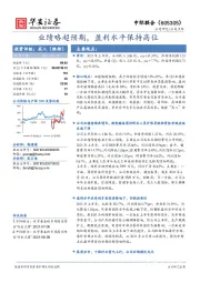 业绩略超预期，盈利水平保持高位