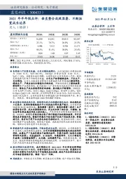 2021年半年报点评：垂直整合成效显著，不断拓宽成长边界