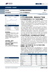 2021年半年度报告点评:上半年业绩表现亮眼,铜钴板块扩产提速