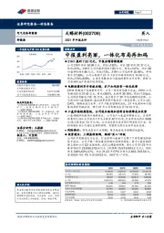 2021年中报点评：中报盈利亮丽，一体化布局再加码