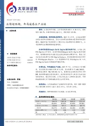 业绩超预期，布局遥感全产业链