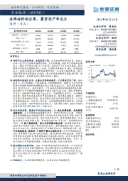 老牌硅料供应商,募资固产争龙头