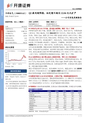 公司信息更新报告：Q2盈利超预期，拟定增不超过22.06亿元扩产