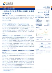 一体化技术平台优势明显，2021H1业绩增长符合预期