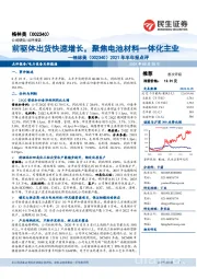 2021年半年报点评:前驱体出货快速增长,聚焦电池材料一体化主业