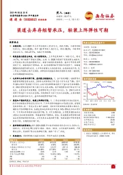 2021年中报点评：渠道去库存短暂承压，轻装上阵弹性可期