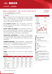 半年报点评：21H1业绩稳健增长，H2下游需求有望迎来拐点