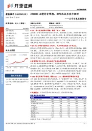 公司信息更新报告：2021H1业绩符合预期，锂电池成长动力强劲