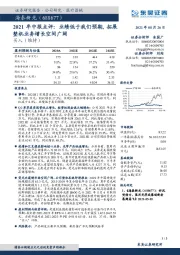 2021年中报点评:业绩低于我们预期,拓展整机业务增长空间广阔