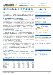 2021年半年报点评：国内市场拖累业绩，下半年景气度有望回升