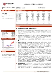 高弹性低估值，上半年量价齐升致利润增长183%