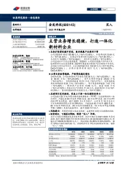 2021年中报点评:主营业务增长稳健,打造一体化新材料企业
