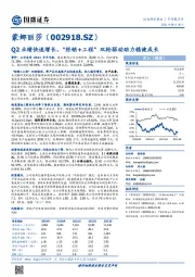 Q2业绩快速增长，“经销+工程”双轮驱动助力稳健成长