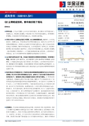 Q2业绩略超预期，静待集采靴子落地