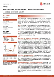 公告点评:磷铵上涨自产磷矿创收促进业绩增长,增资子公司加快产能建设